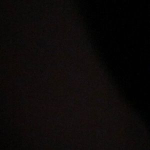 Twenty mystery new beanie babies